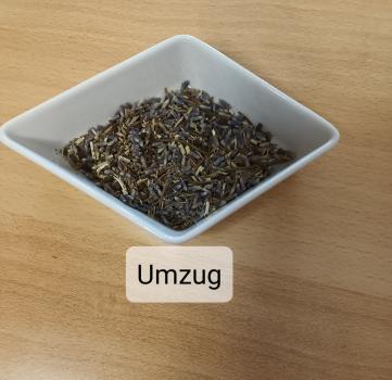 Umzug