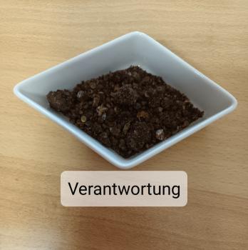 Verantwortung