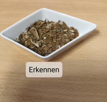 Erkennen