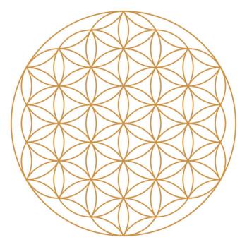 Alladin Goldene Lebensblume