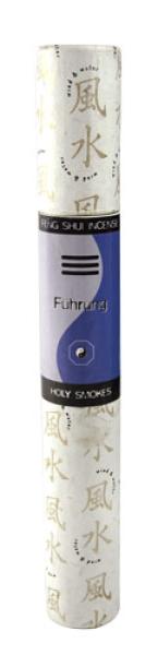 Führung 20 g