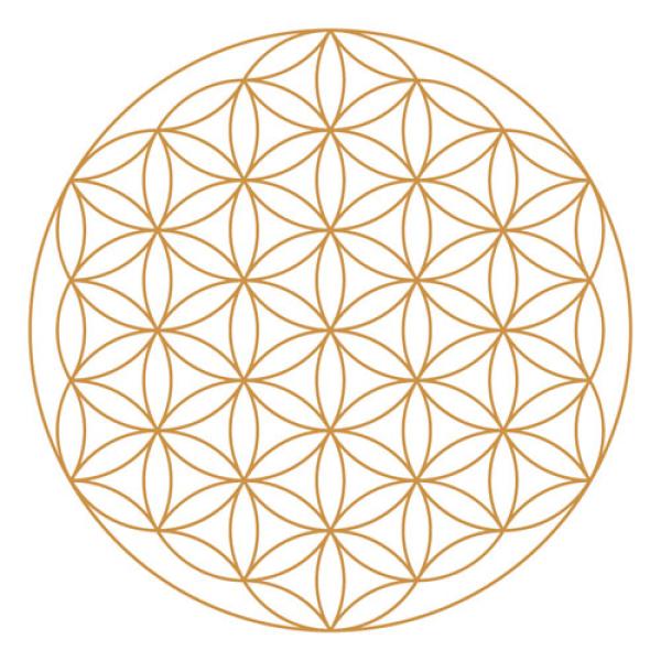 Alladin Goldene Lebensblume